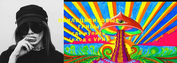 PSILOCYBIN Дмитровск