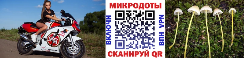 Купить  Беломорск  Псилоцибиновые грибы ЛСД 